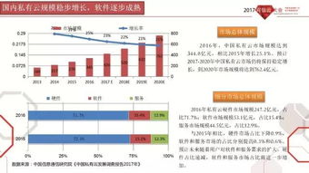2017年中國公共云發(fā)展調查報告與可信云觀察 基礎軟件服務分析